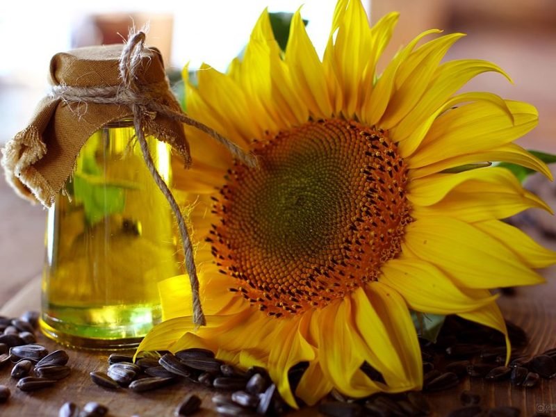 1024px-Sunflower_oil_and_sunflower